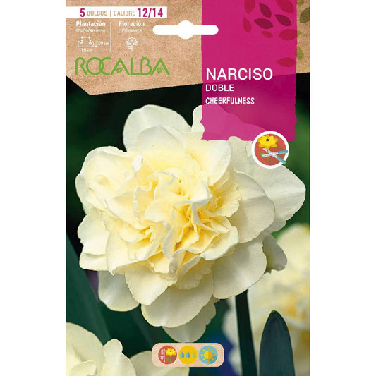 Bulbo Narciso doble Cheerfulness blanco 5 uds Rocalba