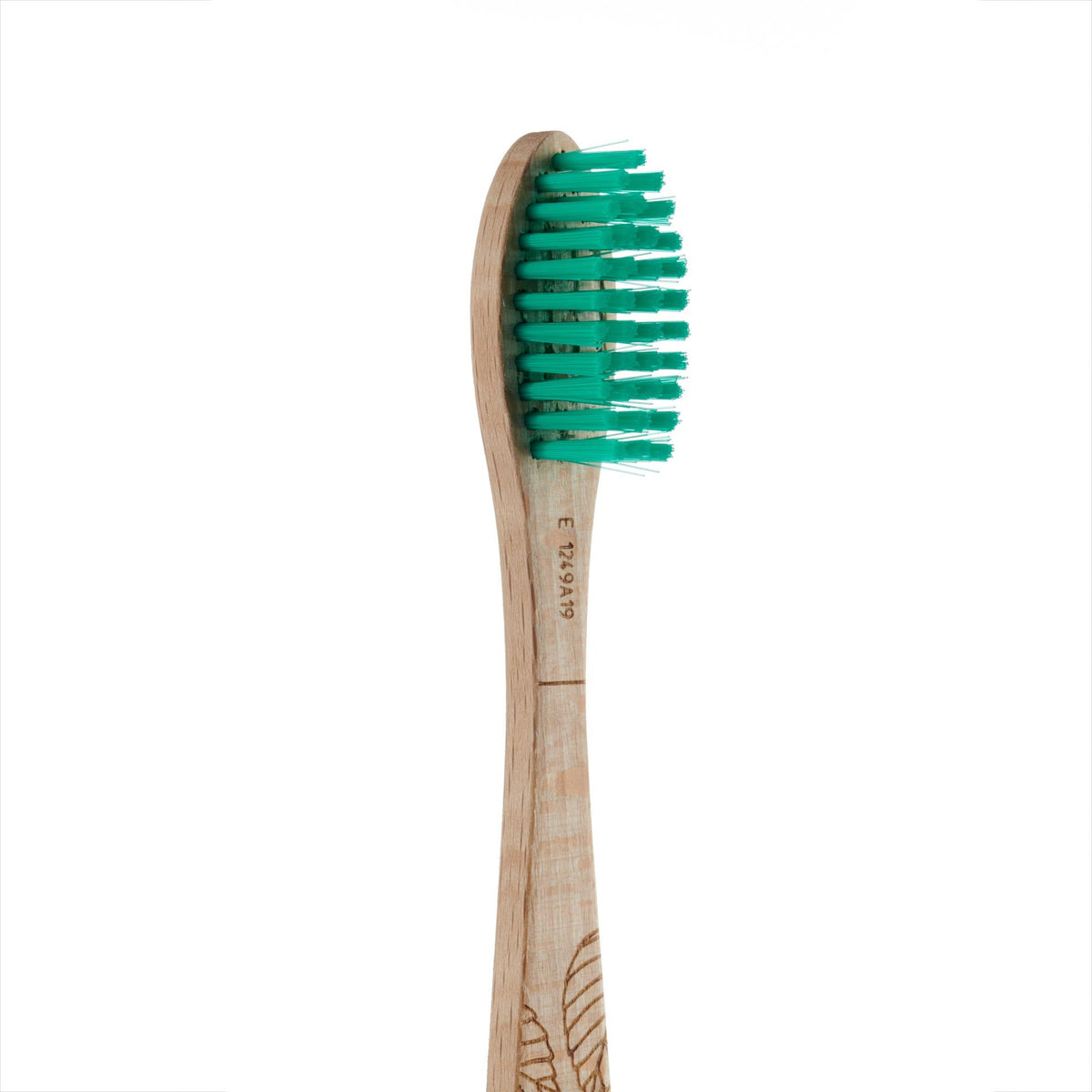 Cepillo de Dientes de haya Medio Georganics