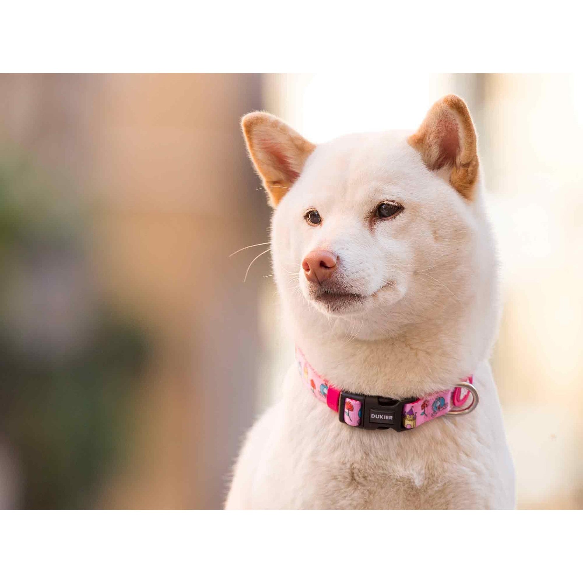 Collar para perro PRINCESS Dukier M