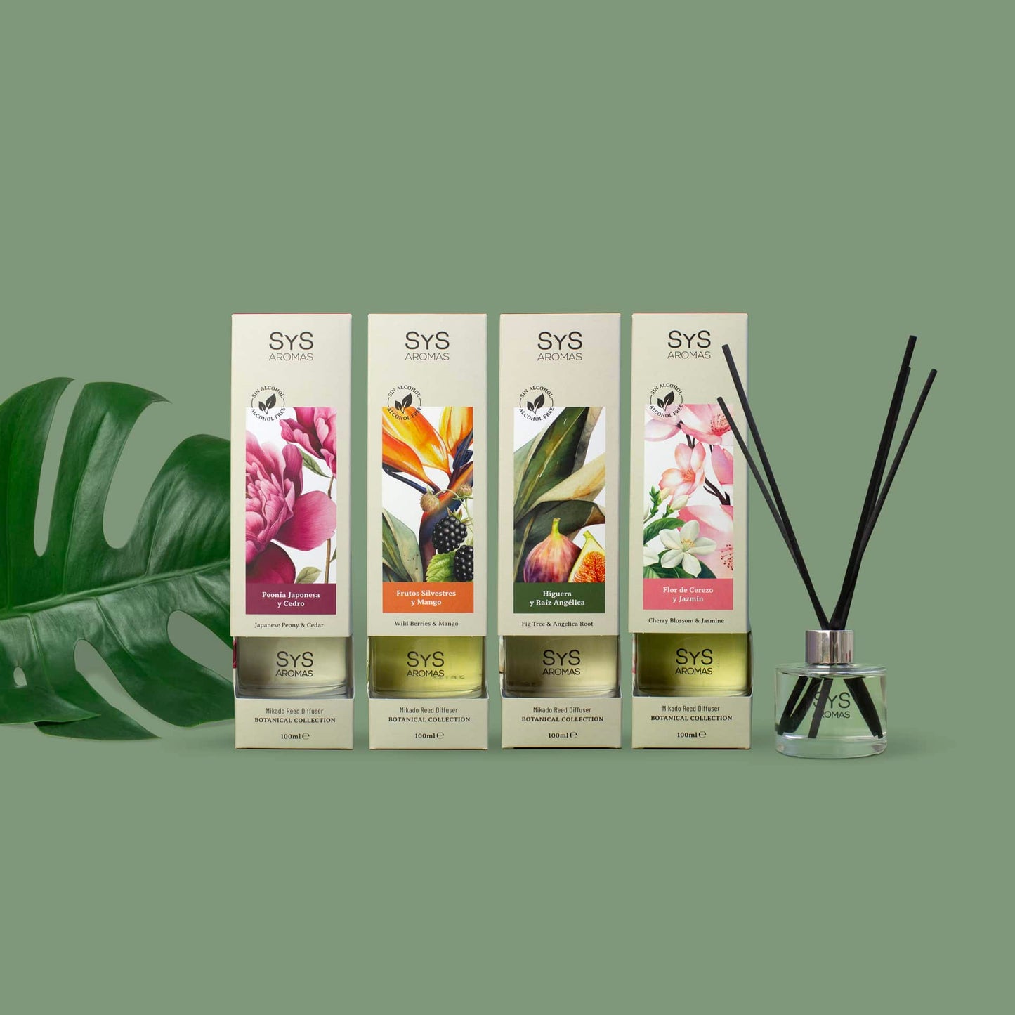 Ambientador Mikado Frutos Silvestres y Mango Botanical SYS Aromas 100 ml | Afrutado y Tropical | Sin Alcohol_3