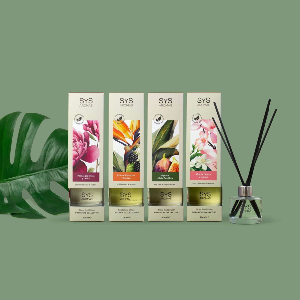 Ambientador Mikado Higuera y Raíz Angélica Botanical SYS Aromas 100 ml | Herbal y Afrutado | Sin Alcohol_3