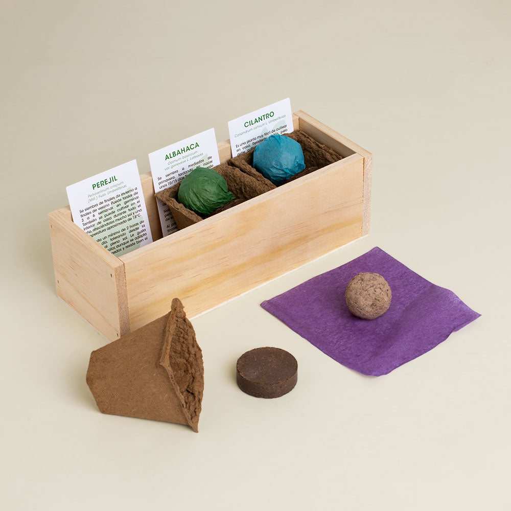 Kit Autocultivo Gourmet Perejil, Albahaca y Cilantro | Hierbas Frescas para Cocina - Resetea_1