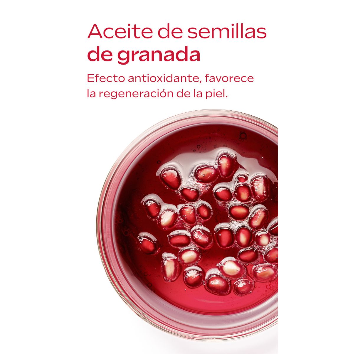 WELEDA Contorno de Ojos + Crema de Día (40% Dto) 12ml + 40ml