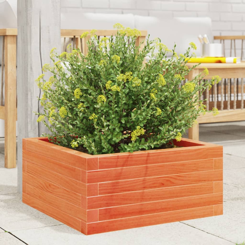 Jardinera De Madera Maciza Pino Marrón Cera 60x60x23 Cm_2