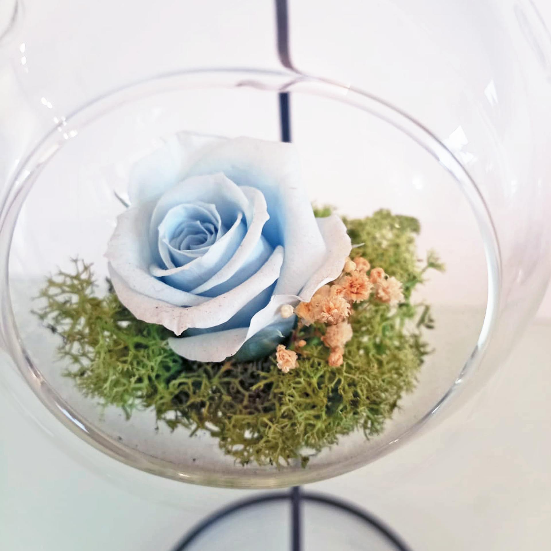 Rosa Eterna - Colgante Azul_1