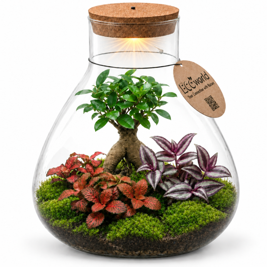Mini Terrario Diy - Con Luz Led - Ecosistema Autosuficiente_0