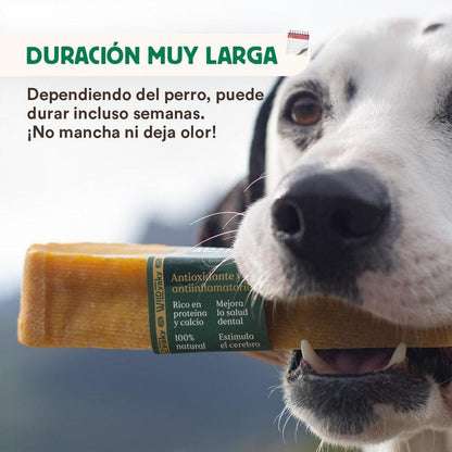 Mordedor Wild Yaky Golden Barrita de Leche de Yak del Himalaya con Cúrcuma Wild Balance 1 ud L+