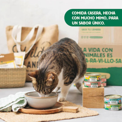 Pack 6x Estofado de mercado con pavo y ternera para gatos 80 g + Regalo: Tapa reutilizable para latas, Wild Balance