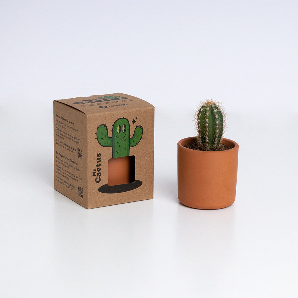 Mr. Cactus Kit de Cultivo de Cactus con Maceta de Barro Artesanal | Regalo Original - Resetea_2