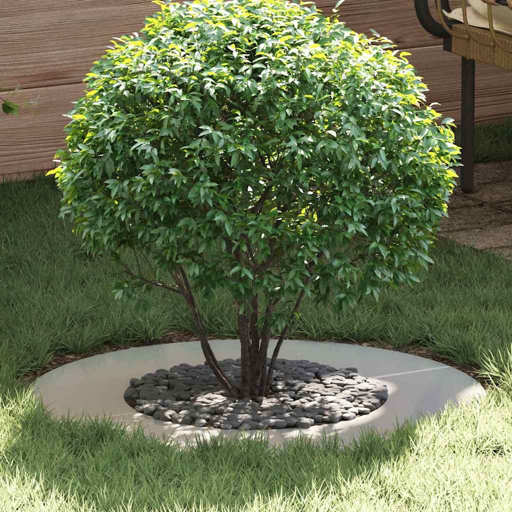 Adecuado Para Anillos De Árbol Plano 5 Uds. Plateado Ø40/70 Cm_1