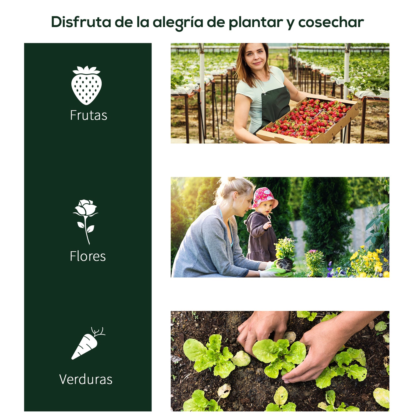 Outsunny Invernadero Caseta 250x100x80 Cm Para Jardín Terraza Cultivo De Plantas_5