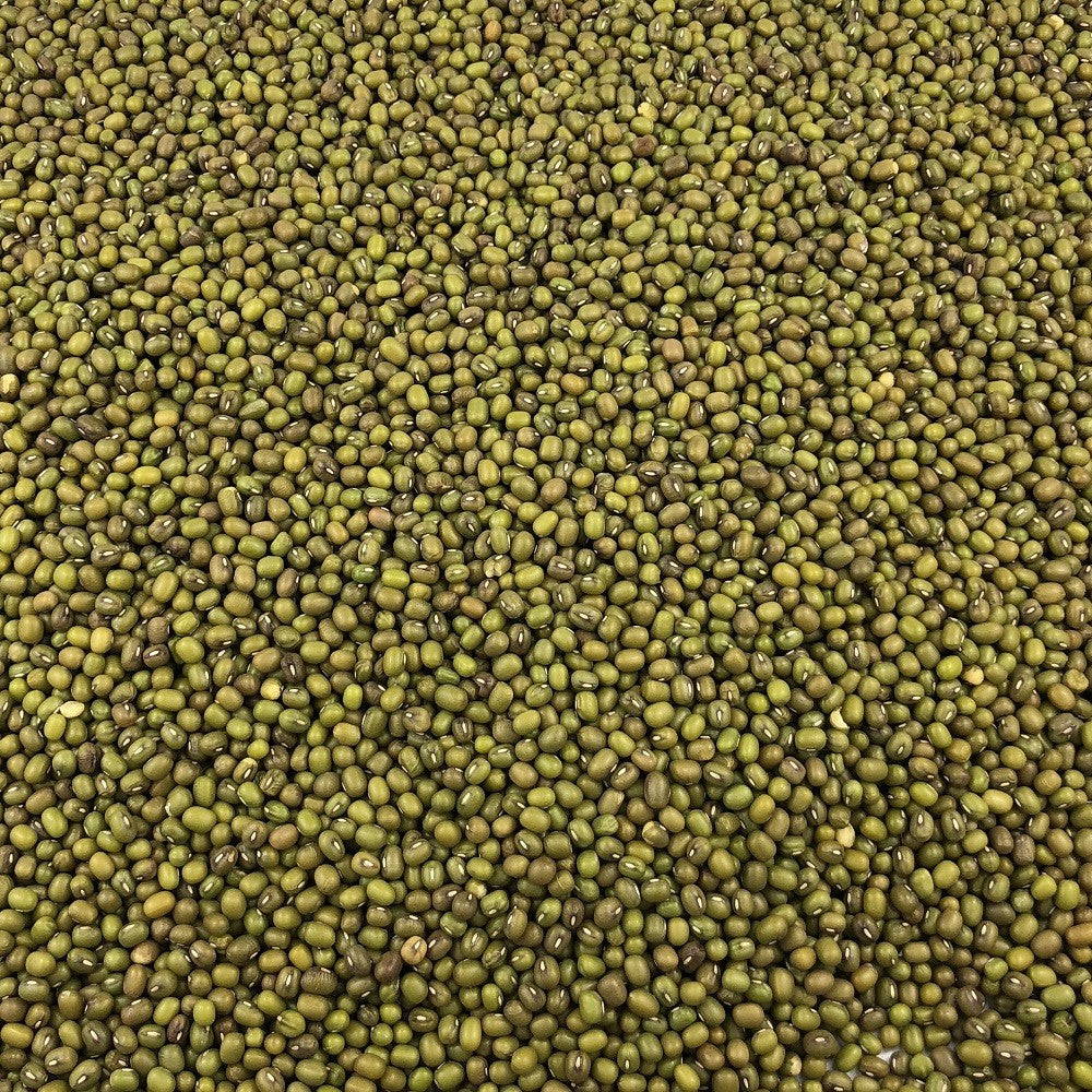 Soja Verde Ecológica Granel 0,25 Kg_2