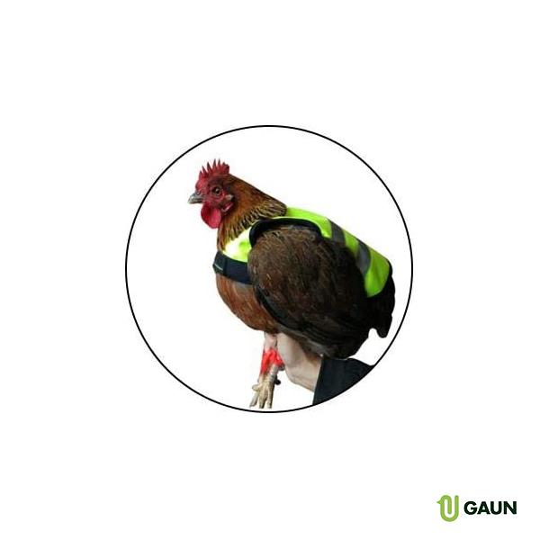 Chaleco Gallinas