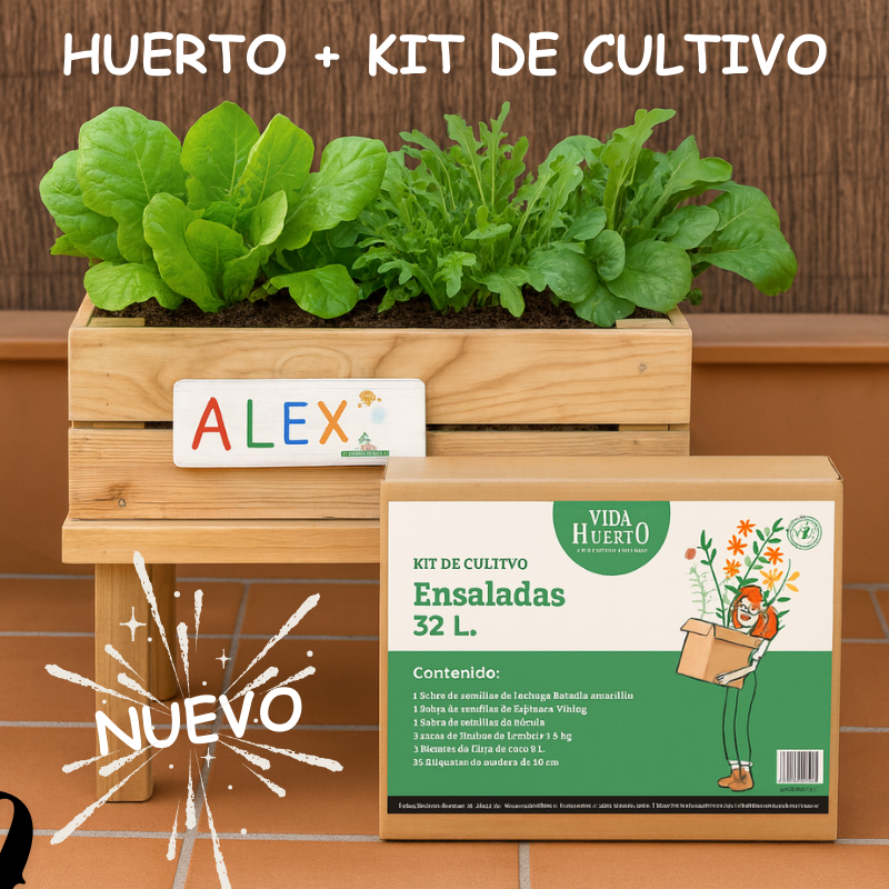 Mesa De Cultivo Infantil De Madera Con Kit De Cultivo De Ensaladas | Vidahuerto_1