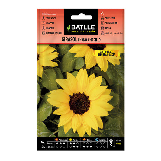Semillas de Girasol enano amarillo Batlle