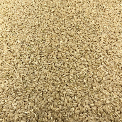 Arroz Integral Ecológico Granel 10 Kg_2