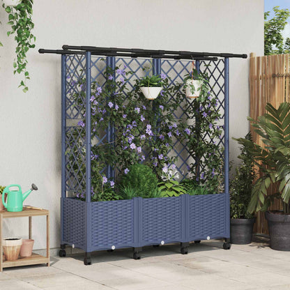 Cama Elevada Con Trellis Y Techo Gris 163,5 X 40 X 142 Cm Pp_1