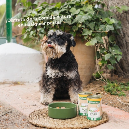 Pack 6x Cerdo y verduras BARF para perros 400 g + Regalos: Tapa reutilizable para latas, Wild Balance