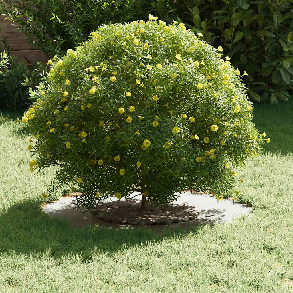 Adecuado Para Anillo De Árbol Plano Ø30 / 60 Cm Acero_2