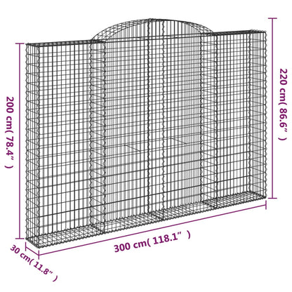 Cestas De Gaviones 2 Uds Forma De Arco Hierro 300x30x200/220 Cm_5