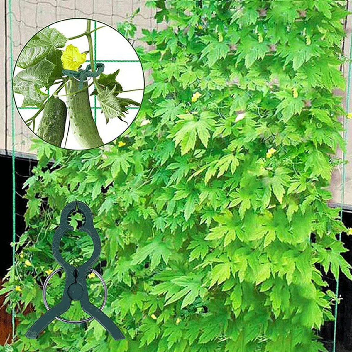 Soporte Enrejado Trepadoras 122x122 Cm Con Red Nyana Garden | Estructura En A | Huerto Y Jardín_2