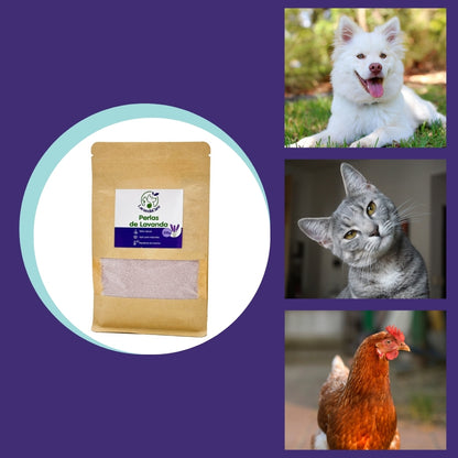 Perlas de Lavanda– Aroma Relajante, Repelente de Insectos y Apoyo Digestivo Natural - 200 gr_3