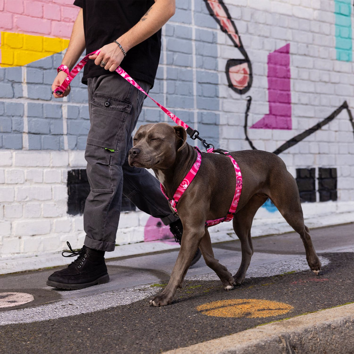 Arnés Para Perro, Modelo Fusion De Rogz, Estampado Huellas Rosas. Talla S (8-14kg)_3