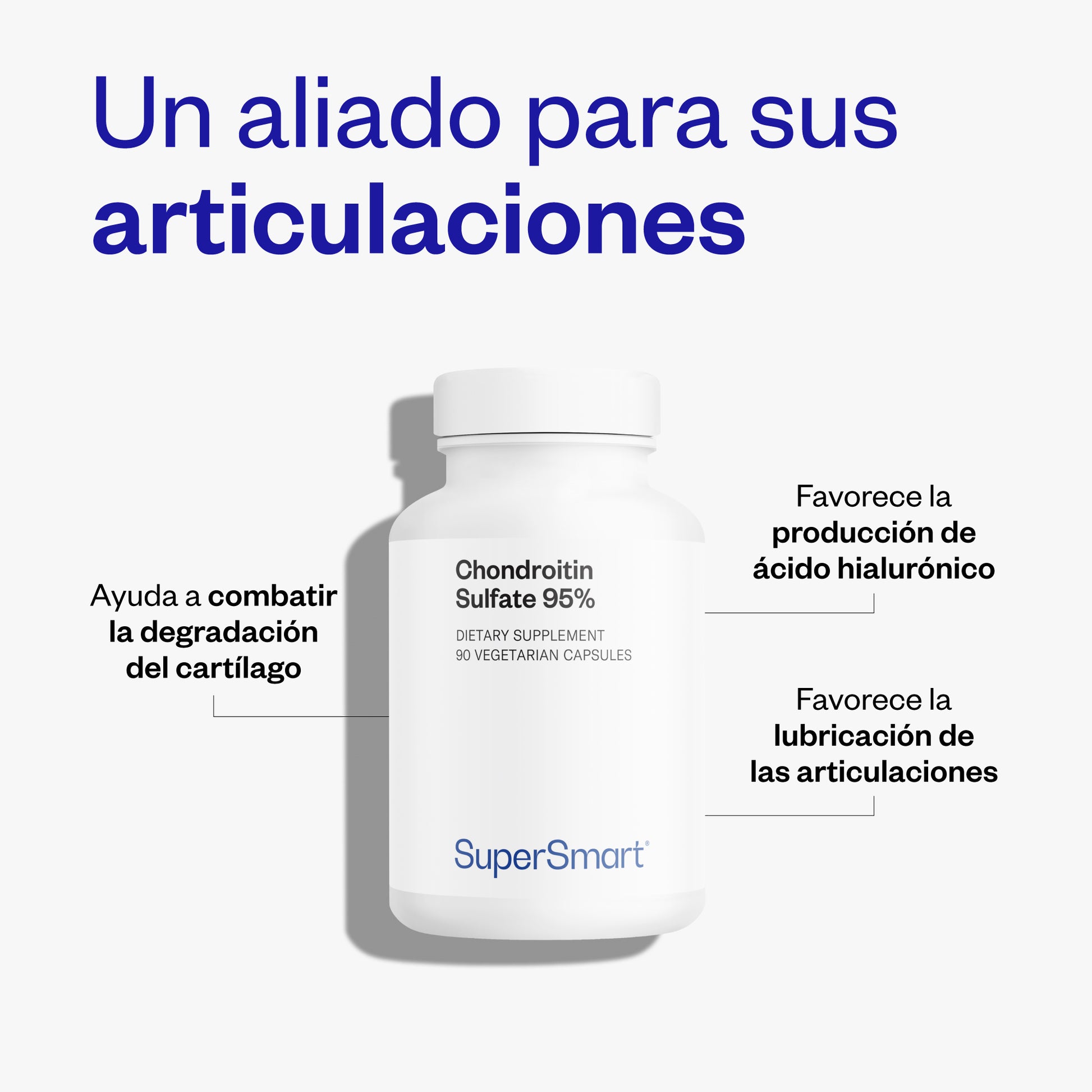 Chondroitin Sulfate 95%_2