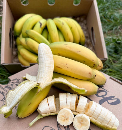 Caja De Plátanos De Canarias Tropitop Caja De 2kg_3