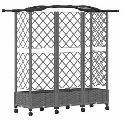 Cama Elevada Con Trellis Y Techo Gris Claro 163 X 40 X 129 Cm_4