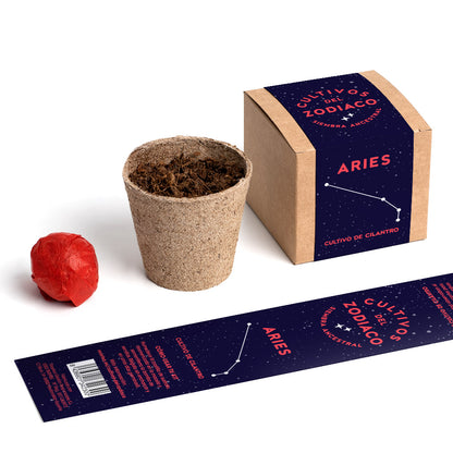 Cultivos del Zodiaco – Aries, Kit de Cultivo con Semillas de Cilantro - Resetea_2
