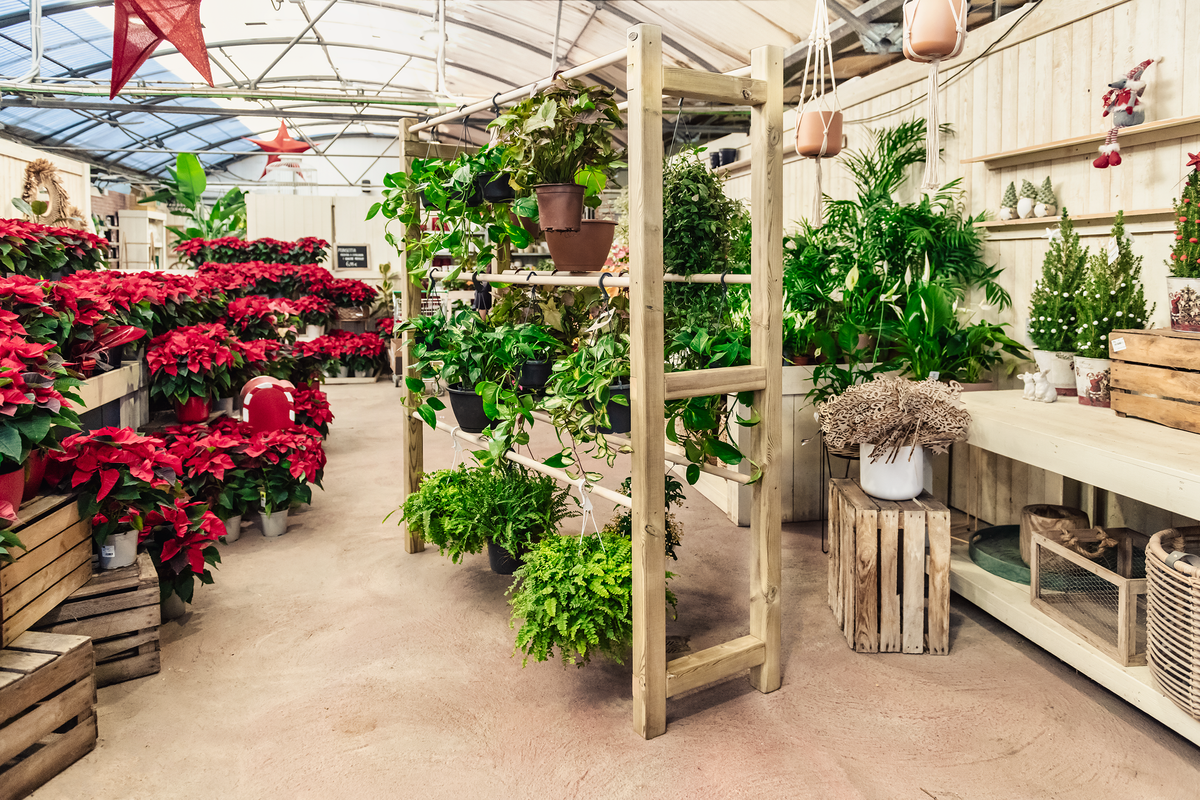 Expositor De Madera Para Plantas Colgantes Pothus Hortalia_2
