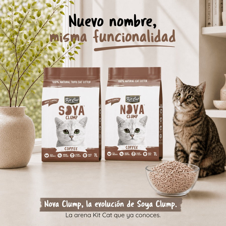 Pack 12 Kit Cat Arena Eco Nova Clump - Coffee 7 L Arena para gatos - Aroma Discreto Café