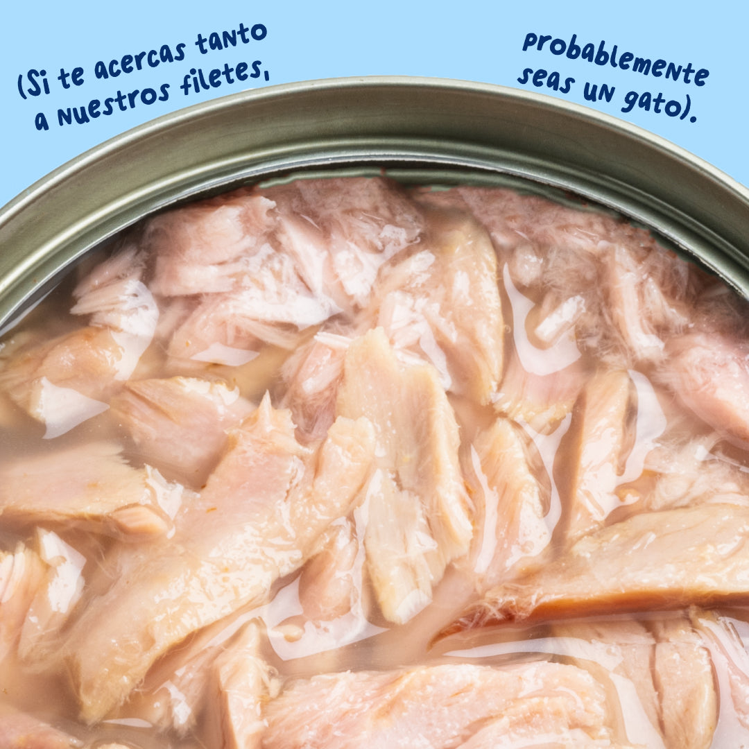 Filetes de atún para gatos Edgard & Cooper 70 g