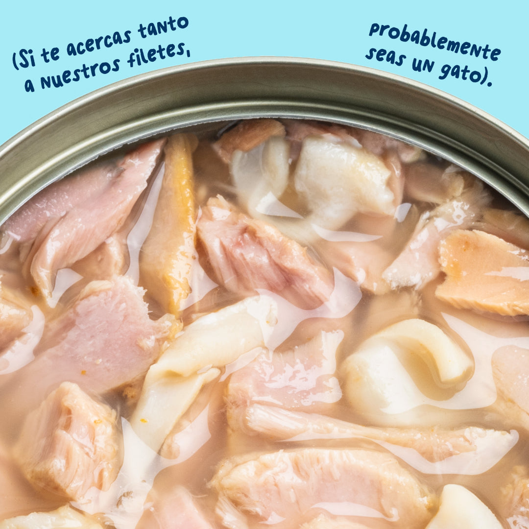 Filetes de atún con calamar para gatos Edgard & Cooper 70 g