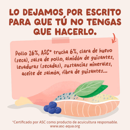 Sobre de Comida Húmeda Trucha &amp; Pollo en Salsa para Gatos Edgard &amp; Cooper 85 g