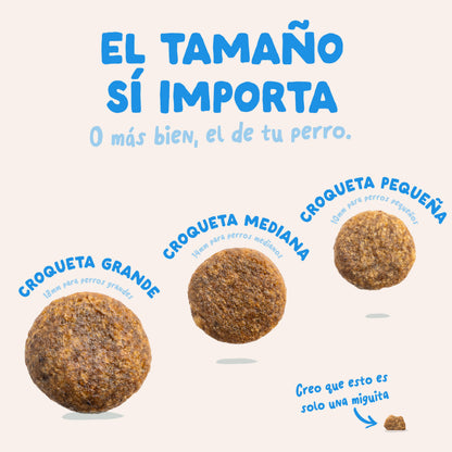 Pienso para perros Salmón Noruego Edgard &amp; Cooper 1 Kg