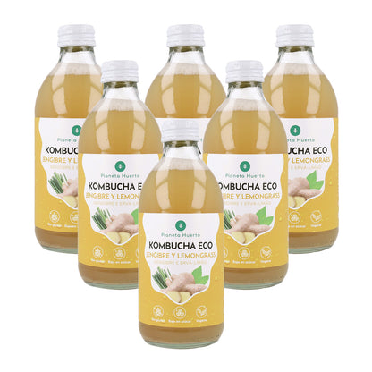 Pack 6x Kombucha ECO Jengibre y lemongrass Planeta Huerto 330 ml