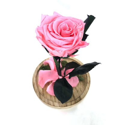 Mundo Eterno Rosa En Cúpula Rosa 12x20cm_2