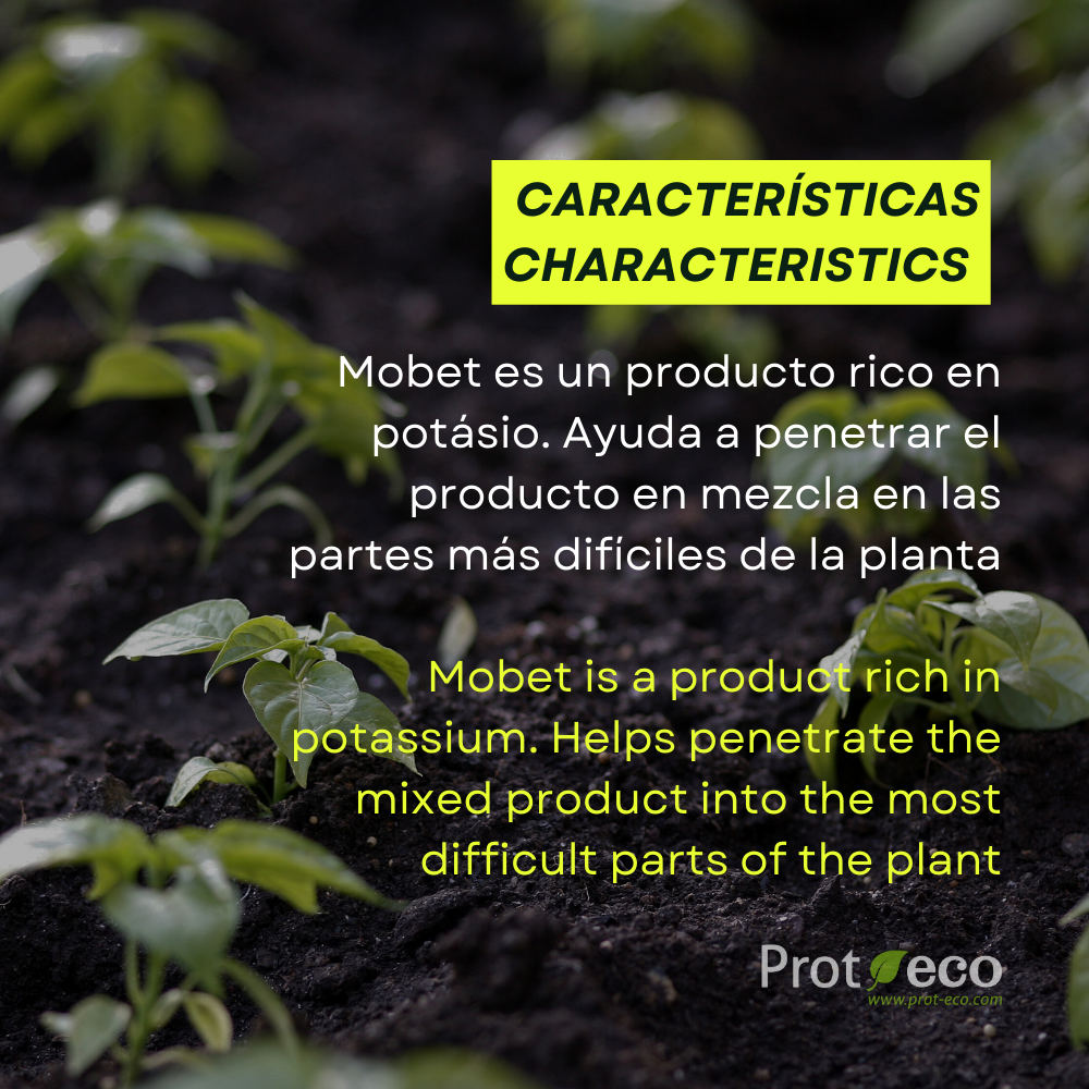 Jabón Potásico Ecológico Para Pulgón Y Cochinilla En Plantas Mobet Prot-eco (250 Ml)+pipeta dosificadora 5 ml gratis_4