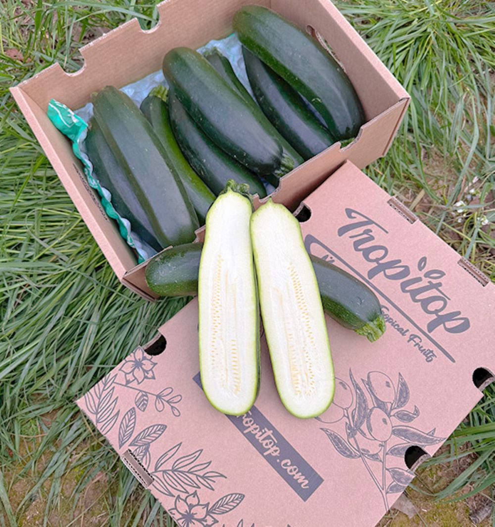 Caja De Calabacín Negro De Temporada Tropitop Caja De 9kg_4