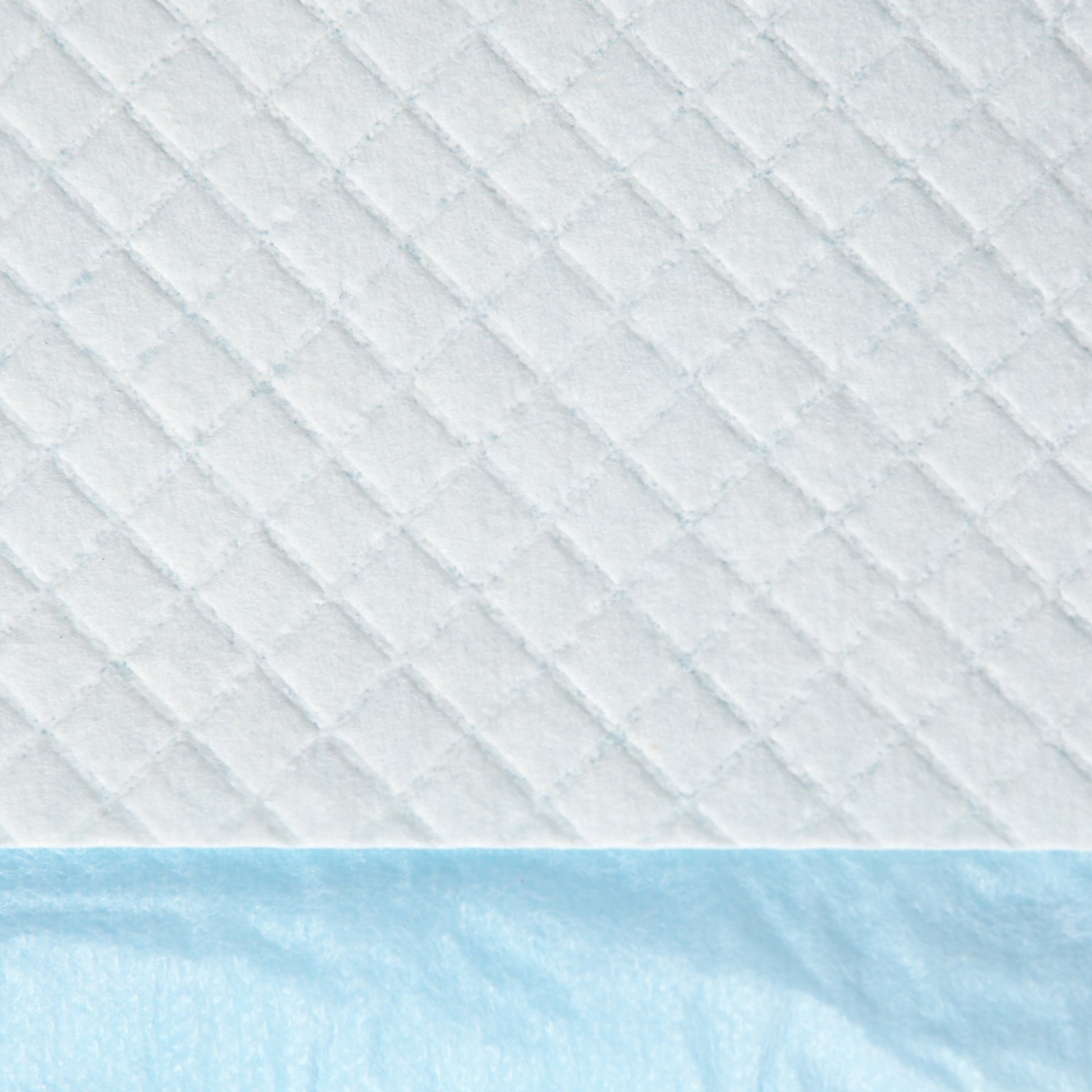 Pawhut Empapadores Para Perros 100 Unidad 45x60 Cm Diseño De 6 Capas Azul_3