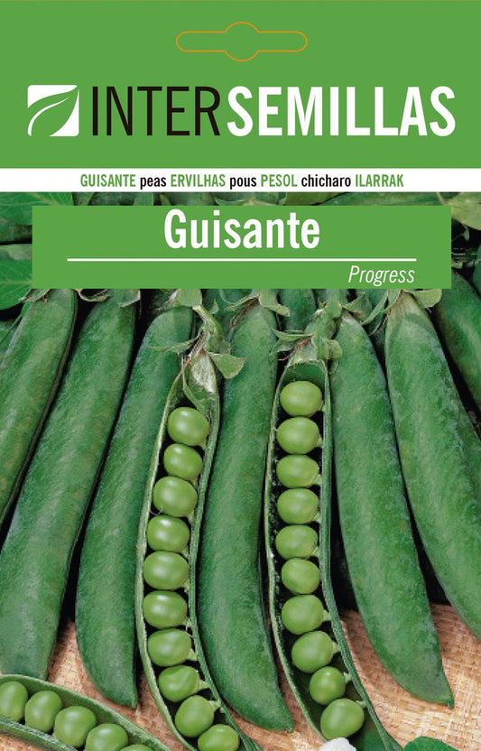 Sobre De Semillas Guisantes Progress_0