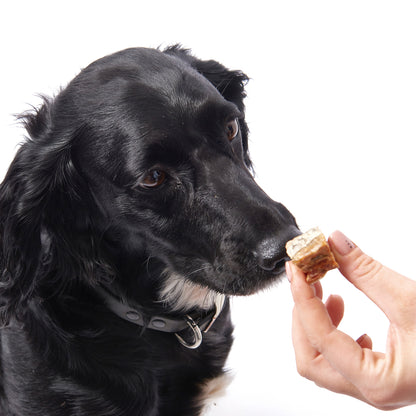 Fish4dogs Snack Para Perros – Love Salmón En Cubos 85 G (pack De 10)_2