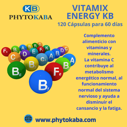 Vitamix Energy Kb 120 Cápsulas Vitaminas Y Minerales_1