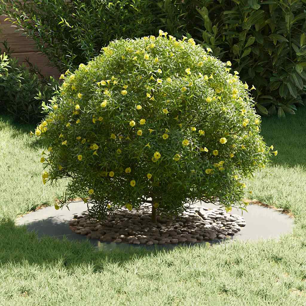 Adecuado Para Anillo De Árbol Plano Plateado Ø50/80 Cm_2