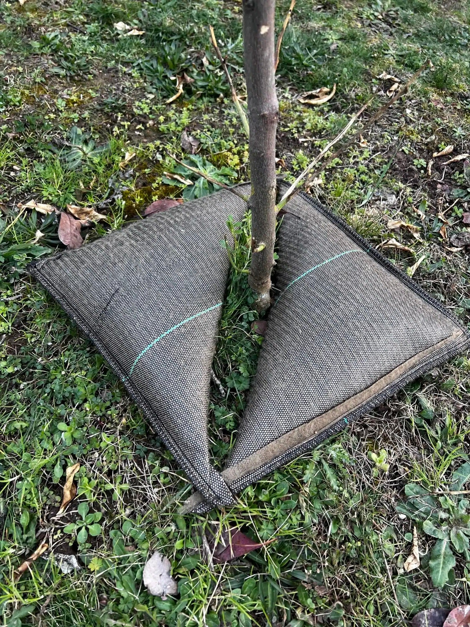 Cojín De Riego Para Plantas Tree’bed 300_0