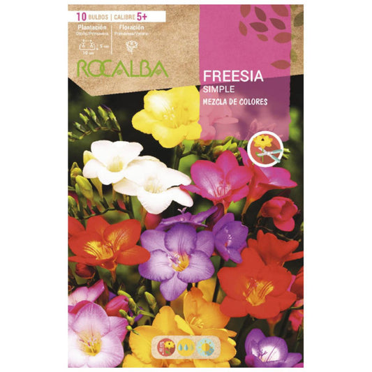 Bulbo Freesia simple mexzcla 10 uds Rocalba