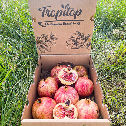 Granada Fruta Fresca Directa Del Campo - Caja 2kg_2