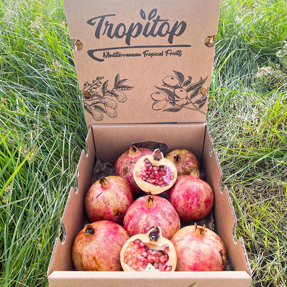 Granada Fruta Fresca Directa Del Campo - Caja 4kg_3
